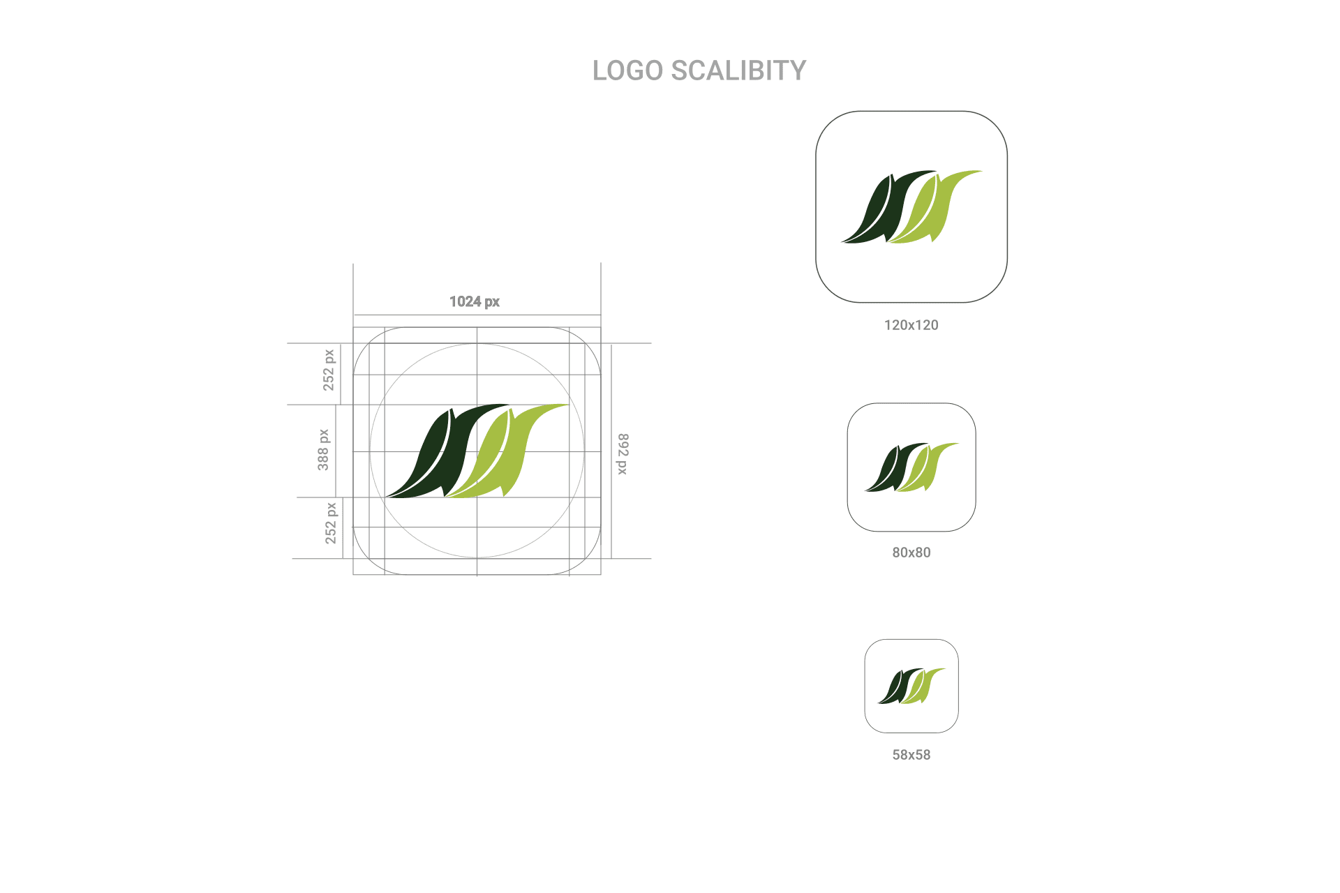   Macrochi showcase 10