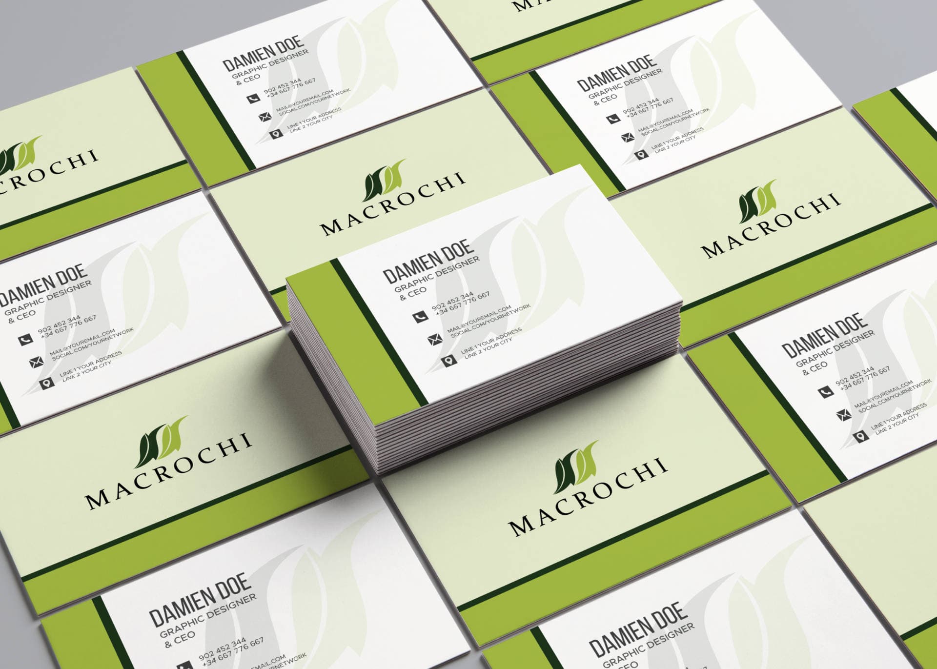   Macrochi showcase 12